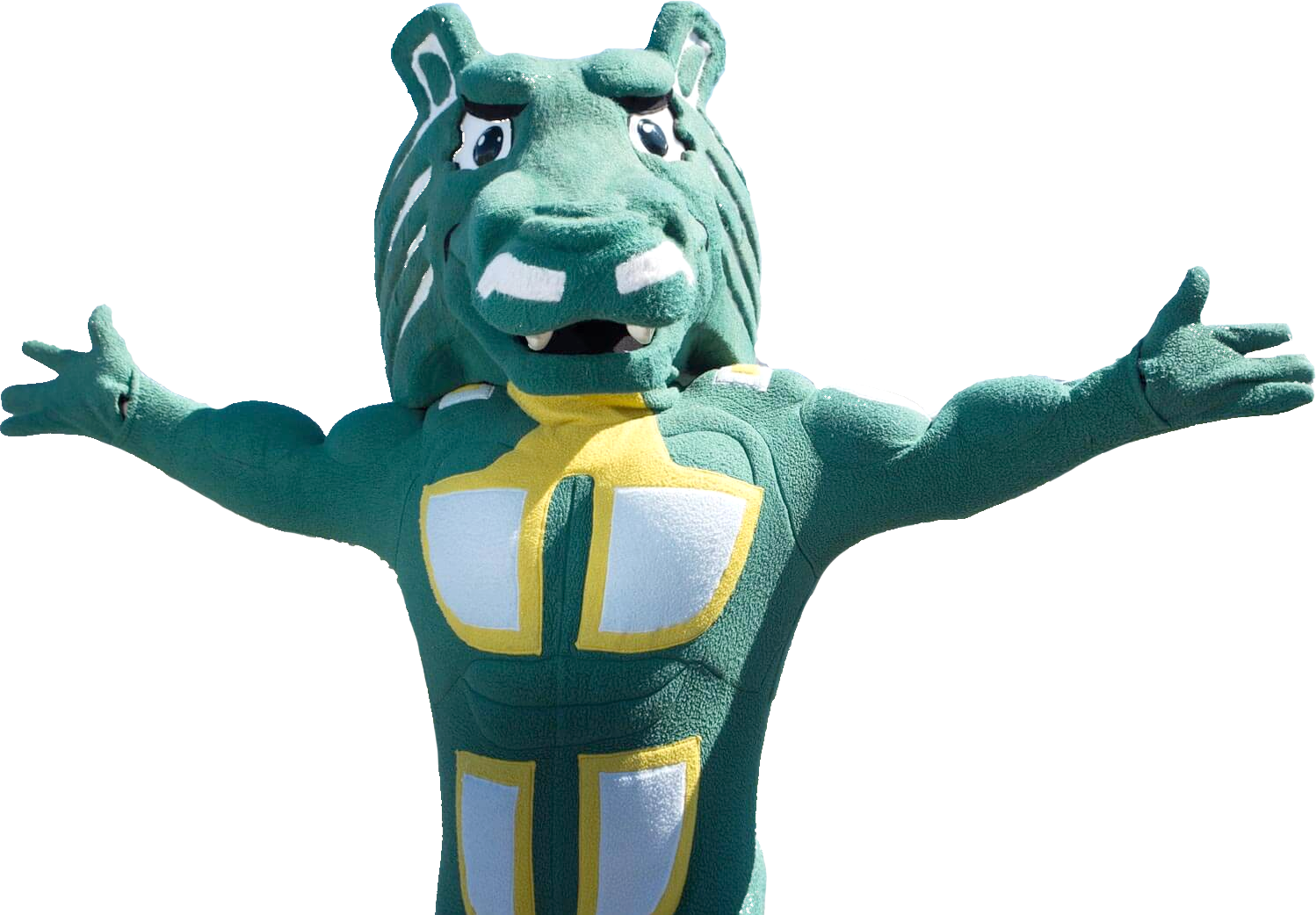 UAA Mascot
