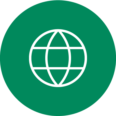 icon of globe