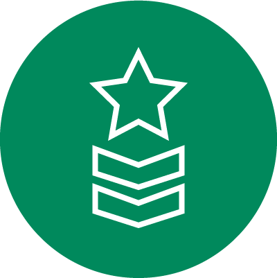 icon of star and bars
