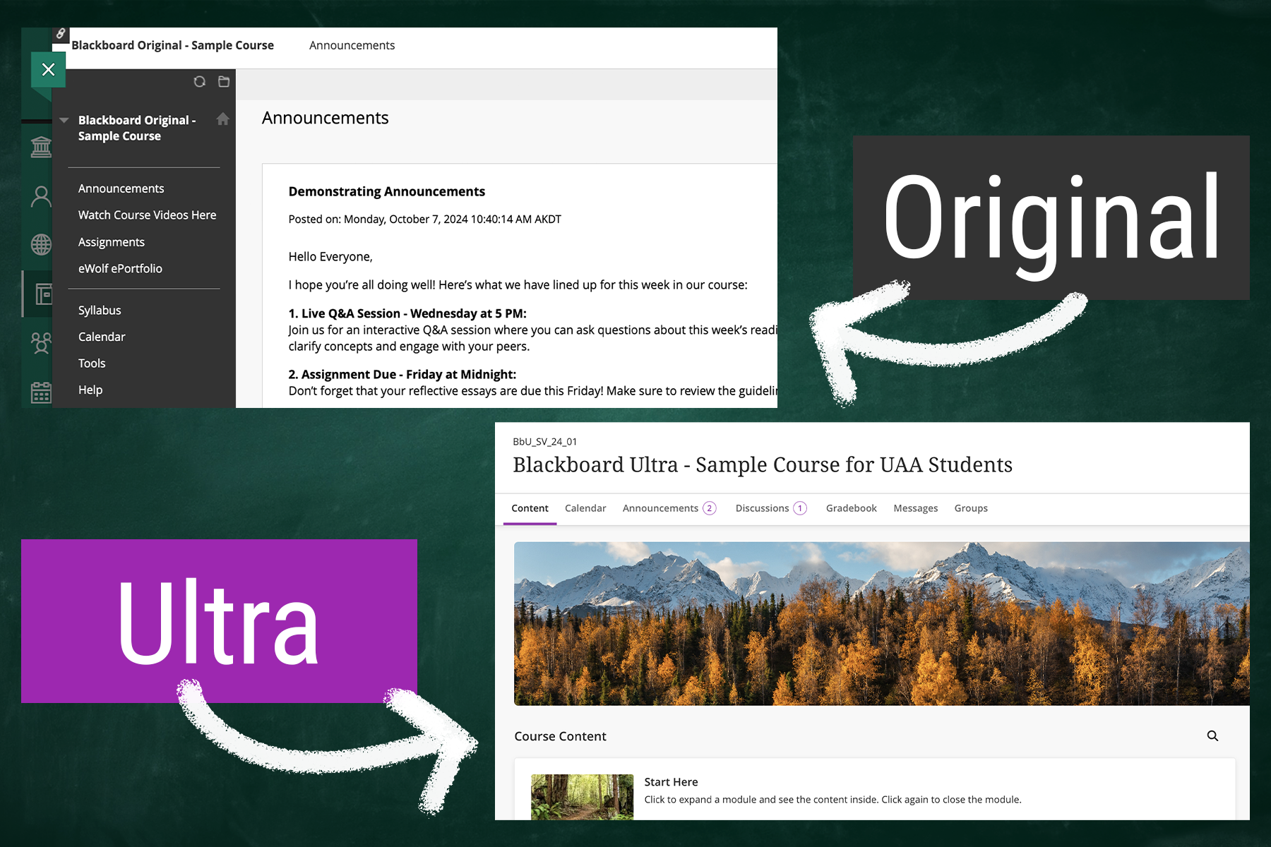 Blackboard Original or Ultra