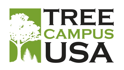 tree_campus_USA_small