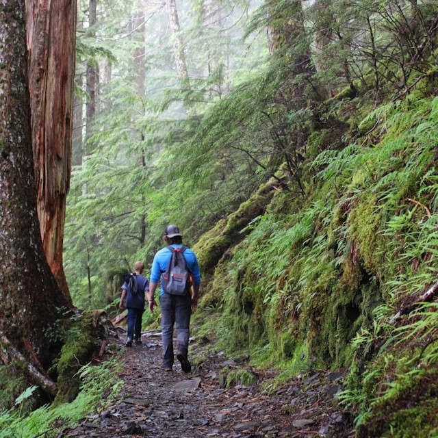 A man walking with a child in the woods.