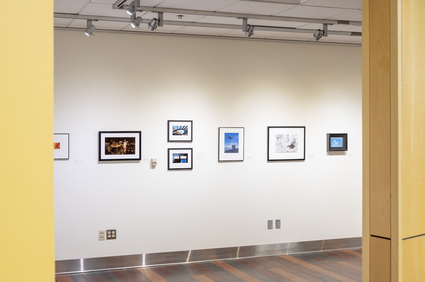 Camera Club Exhibition Photo