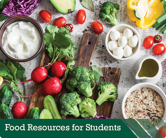 food resources for students