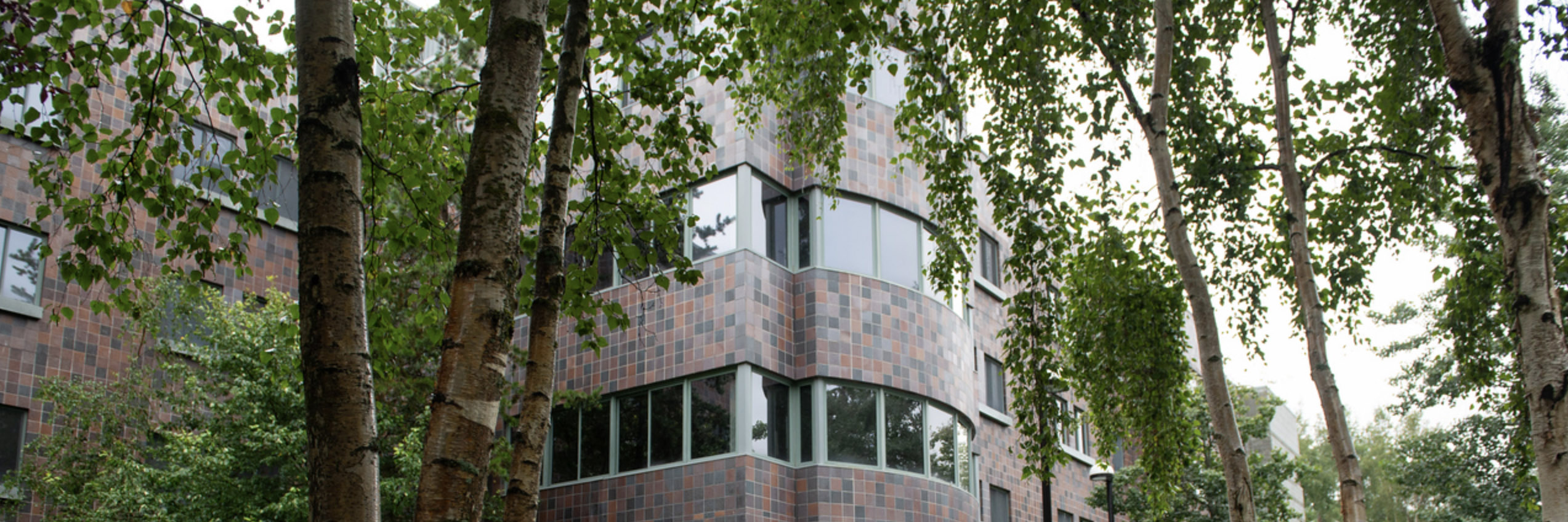 Exterior of brick building and trees