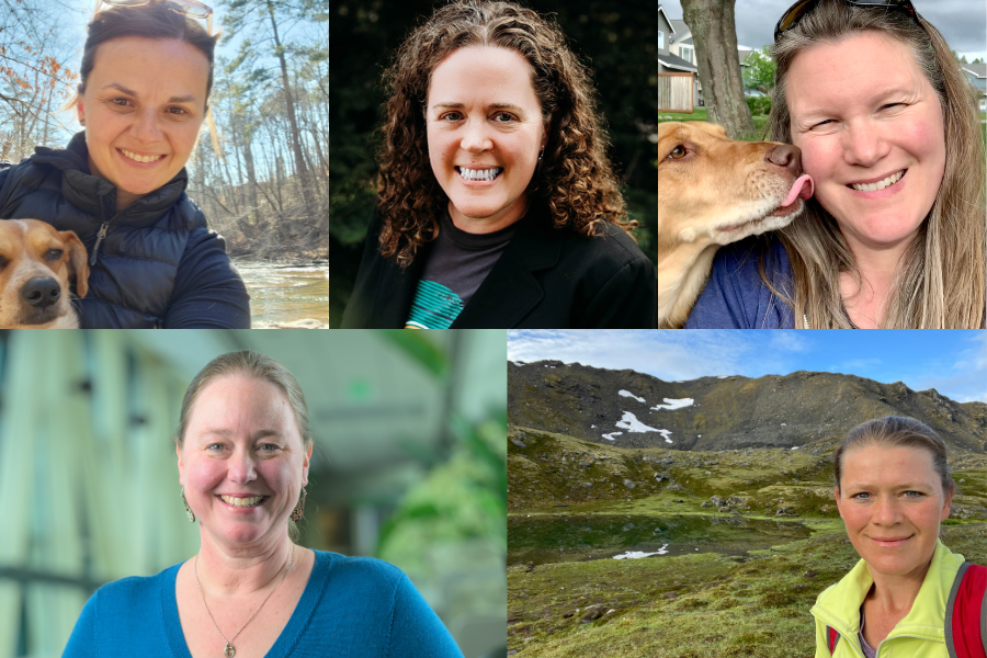 Lorem ipsumFrom top left to right: Emily Faerber, Carrie King, Melissa Chulpach. From bottom right to left: Amy Urbanus, Amanda Walch