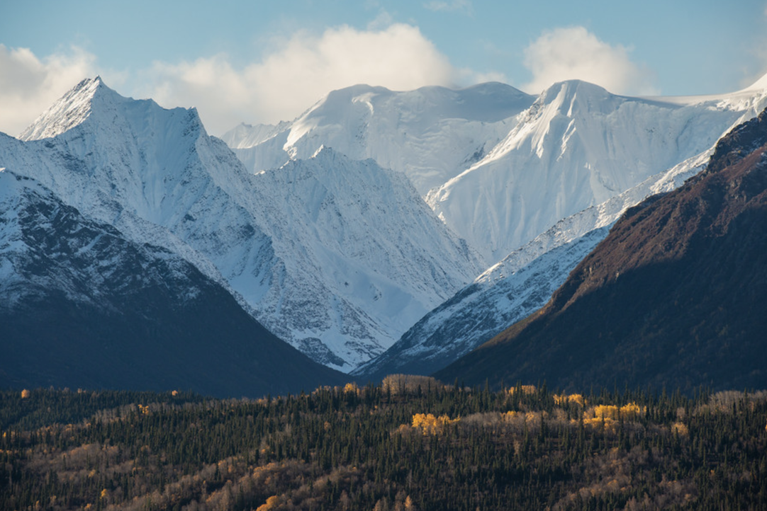 mountains in daylight and trees below