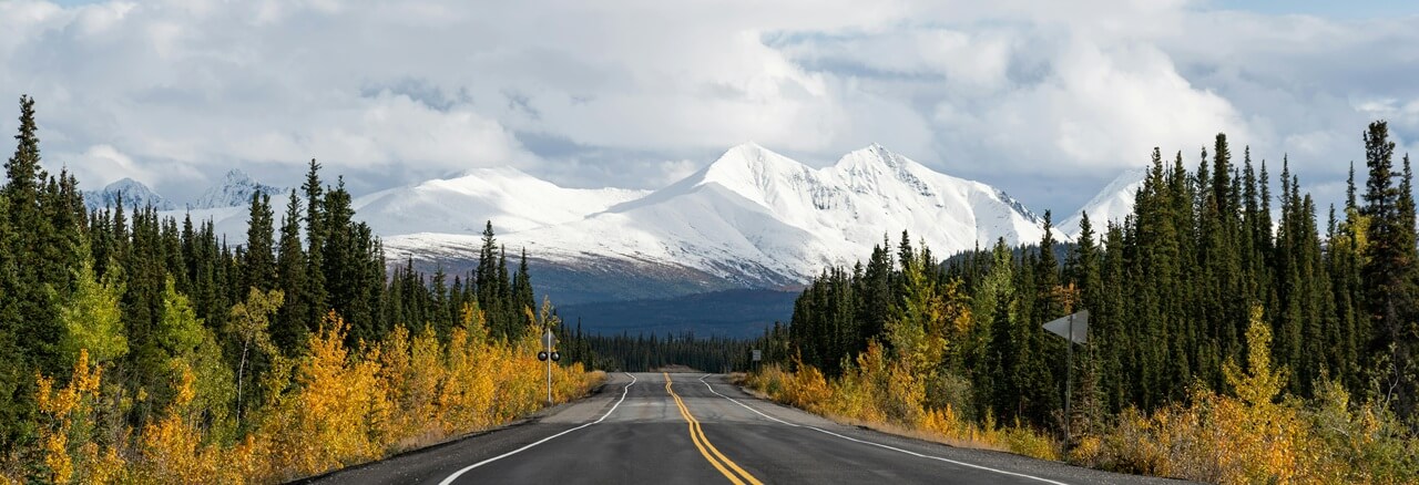 An asphalt road pointed to white-capped mountains winding between trees with gold leaves.