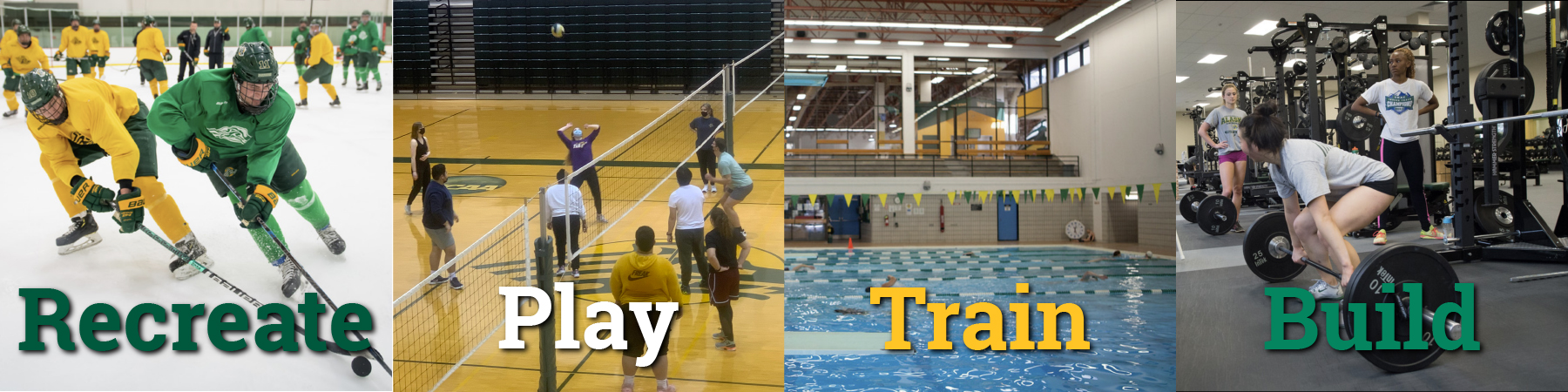 Recreation and Intramural - Fitness Center - City Tech