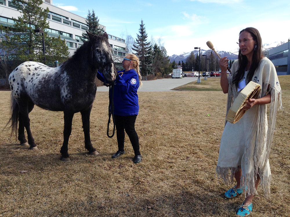 Horse Medicine class