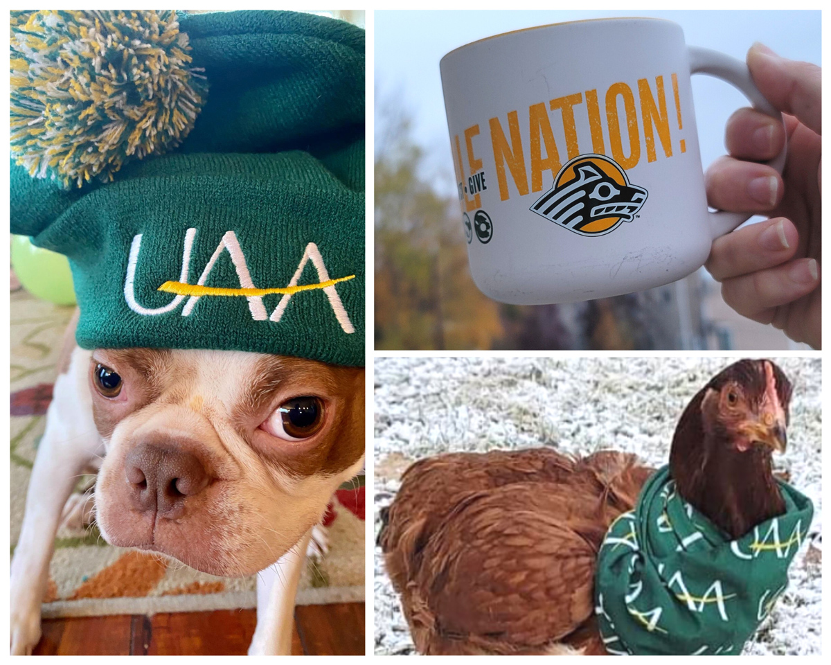Examples for UAA school spirit: Dog in UAA beanie, a Seawolf mug, and a rooster in UAA neckwarmer.