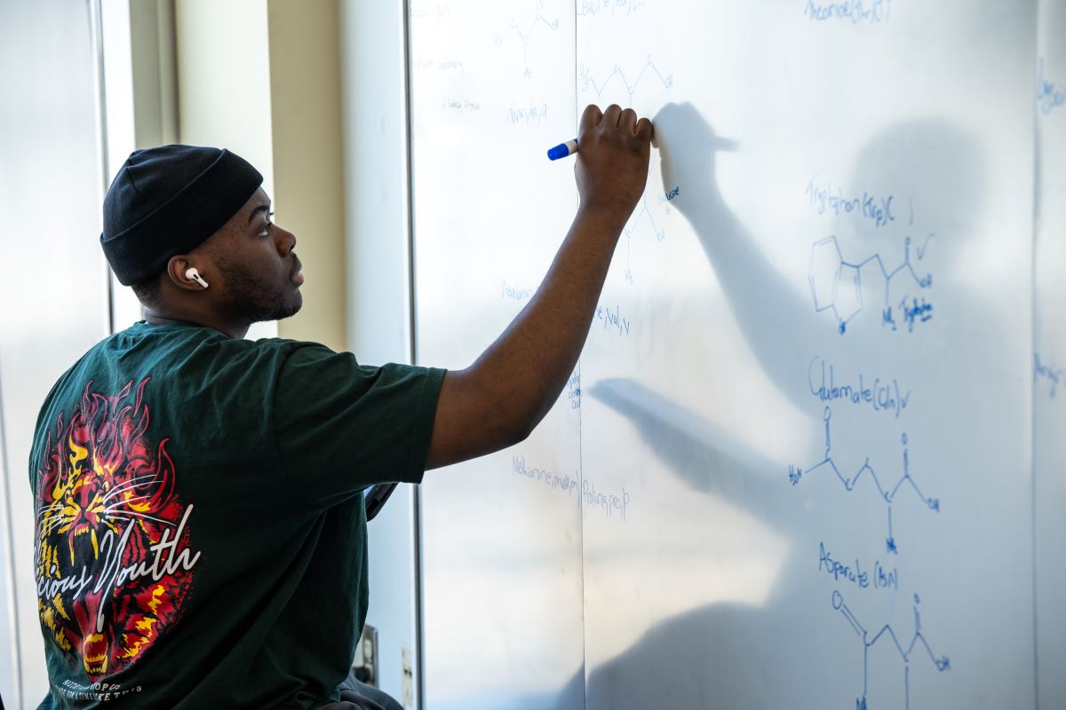 Emmanuel Tobey at a whiteboard