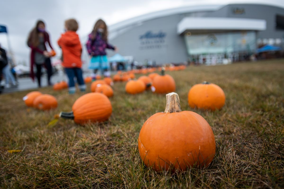 children looking at pumpkins on UAA's Anchorage campus